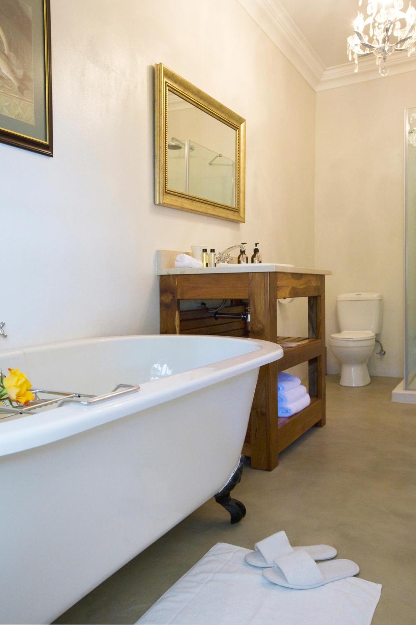 فندق Capeblue Manor House مويزنبرغ المظهر الخارجي الصورة